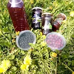Feriehus семейна рай Fаmilly Paradise