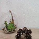 семейна рай Fаmilly Paradise