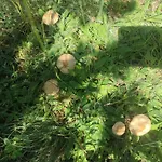 Feriehus семейна рай Fаmilly Paradise Popovo
