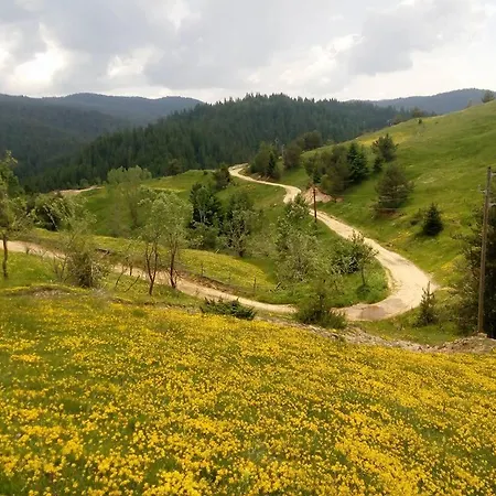 семейна рай Fаmilly Paradise 度假居 Popovo