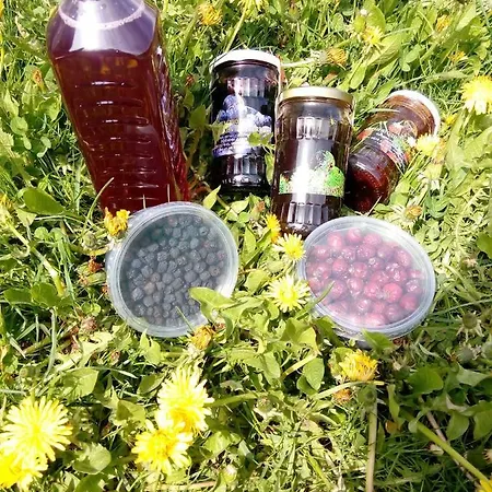 度假居 семейна рай Fаmilly Paradise