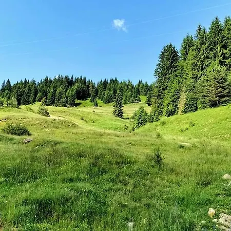 семейна рай Fаmilly Paradise * Popovo