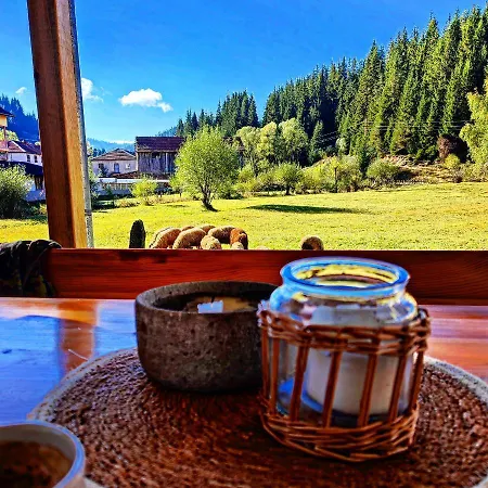 семейна рай Fаmilly Paradise